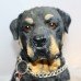 Hand Crafted & Painted Resin Rocky-Rotweiler