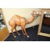 Ex Window Display Real Leather Camel