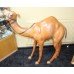 Ex Window Display Real Leather Camel