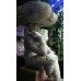 Sienna Marble & Stone Composite Antique Bird Bath