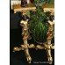 Pair of Gilt Blackamoor Stands