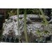 Pair of White Ram's Head Classical Style Garden Urns on Stands