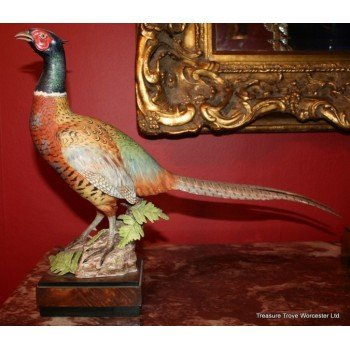 Royal Worcester Ringneck Pheasant Cock by Ronald van Ruyckevelt
