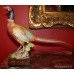 Royal Worcester Ringneck Pheasant Cock by Ronald van Ruyckevelt