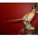 Royal Worcester Ringneck Pheasant Cock by Ronald van Ruyckevelt
