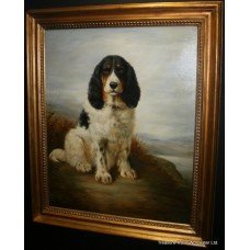 Springer Spaniel Oil on Canvas Painting