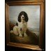Springer Spaniel Oil on Canvas Painting