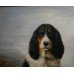 Springer Spaniel Oil on Canvas Painting