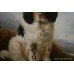 Springer Spaniel Oil on Canvas Painting