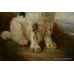 Springer Spaniel Oil on Canvas Painting