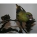 Albany "Greenfinch" Limited Edition Porcelain on Bronze Bird