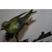 Albany "Greenfinch" Limited Edition Porcelain on Bronze Bird