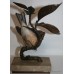 Albany "Hawfinch" Limited Edition Porcelain on Bronze Bird
