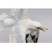 Albany Limited Edition Kittiwake Sculpture Porcelain on Bronze & Rock Crystal