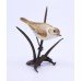 Albany Worcester Miniature Porcelain & Bronze Warbler