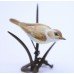 Albany Worcester Miniature Porcelain & Bronze Warbler