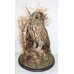 Antique Domed Taxidermy Tawny Owl