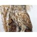 Antique Domed Taxidermy Tawny Owl