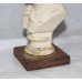 Antique Style Plaster Miniature Bust of Schubert on Wooden Plinth