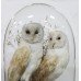 Antique Domed Taxidermy Pair of Barn Owls