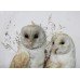 Antique Domed Taxidermy Pair of Barn Owls