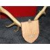 Victorian Antlers Set on Shield Mount