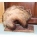 Badger Stuffed Taxidermy on Plinth