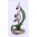 Boehm Lady's Slipper Orchid Limited Edition Flower 