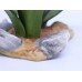 Boehm Lady's Slipper Orchid Limited Edition Flower 
