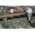 Capodimonte Tramp on Bench