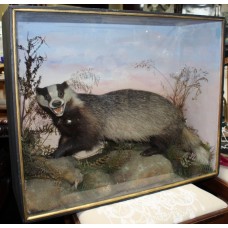 Cased Antique Hutchinson Taxidermy Badger & Rabbit