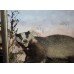 Cased Antique Hutchinson Taxidermy Badger & Rabbit