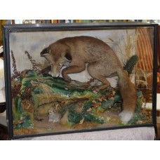 Cased Antique Taxidermy Fox by Lawrence of Leeds