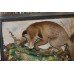 Cased Antique Taxidermy Fox by Lawrence of Leeds