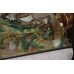 Cased Antique Taxidermy Fox by Lawrence of Leeds