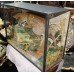 Cased Antique Taxidermy Fox by Lawrence of Leeds