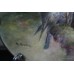 Coalport Hand Painted Birds of Prey Plate by Richard Budd