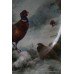 Coalport Hand Painted Pheasants Plate by Richard Budd