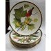 Collection of 9 Franklin Porcelain Songbirds of the World Plates