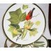 Collection of 9 Franklin Porcelain Songbirds of the World Plates