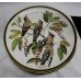 Collection of 9 Franklin Porcelain Songbirds of the World Plates