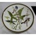 Collection of 9 Franklin Porcelain Songbirds of the World Plates