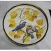 Collection of 9 Franklin Porcelain Songbirds of the World Plates