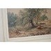 Edwardian Cattle in Landscape Watercolour "On Cannock Chase"