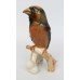 Goebel Porcelain Bird Model Hawfinch