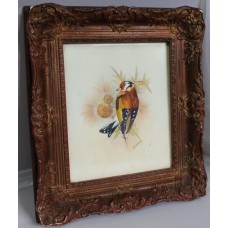 Goldfinch Watercolour Framed by D.Peplow