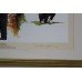 Golf Ryder Cup Victors Limited Edition Print Signed by Bernard Gallacher