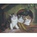 Small Oil Painting of Kittens Signed Set in Frame