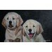Labrador Puppies Oil on Canvas Painting