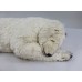 Large Michel Taillis Automated Sleeping Polar Bear